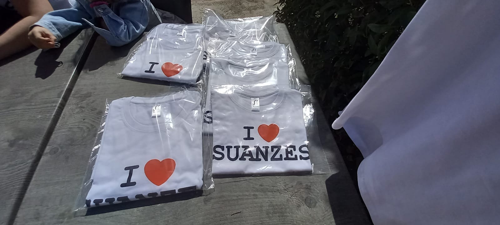 Fiestas Suanzes 2025